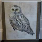 A02b. Framed owl print. 